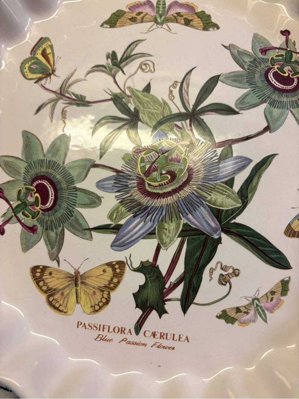 Vintage Portmeirion Scalloped Casserole Baking Dish